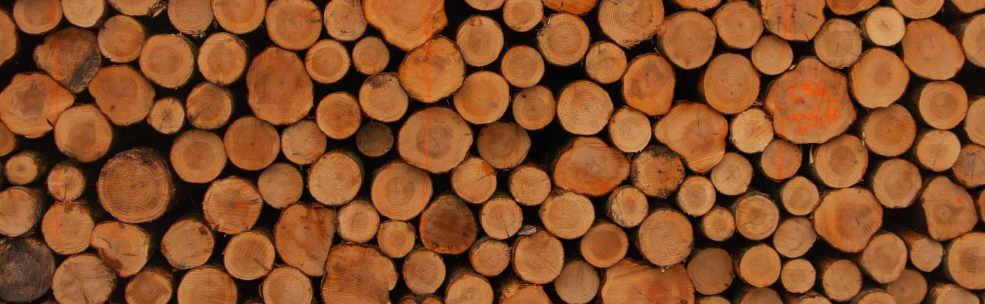 AT DSHWOOD, WE PURCHASE & SUPPLY ALL MAJOR SPECIES OF HARDWOOD, SOFTWOOD AND BIOMASS