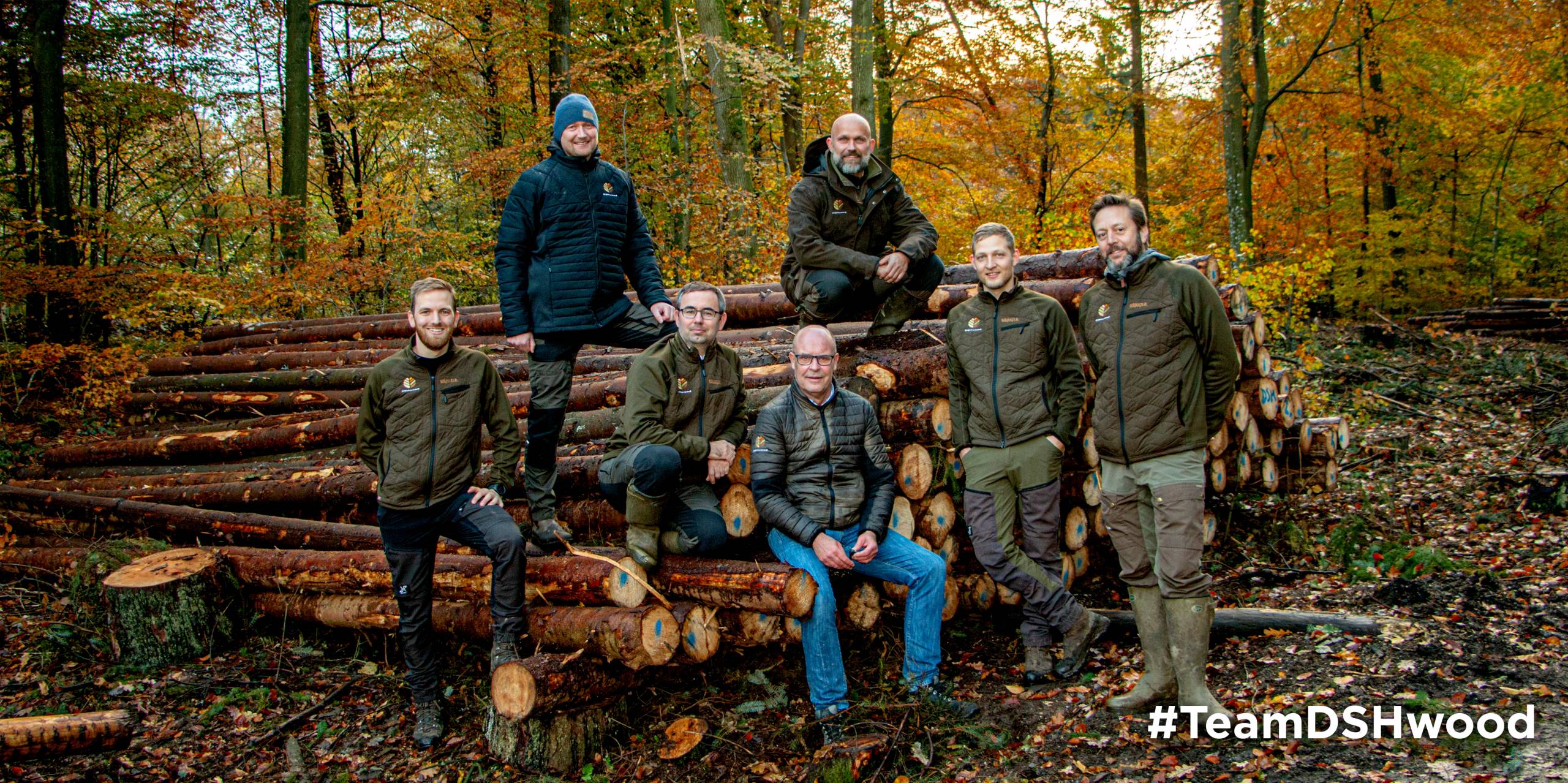 At DSHwood, we are driven by our passion for sustainable forestry